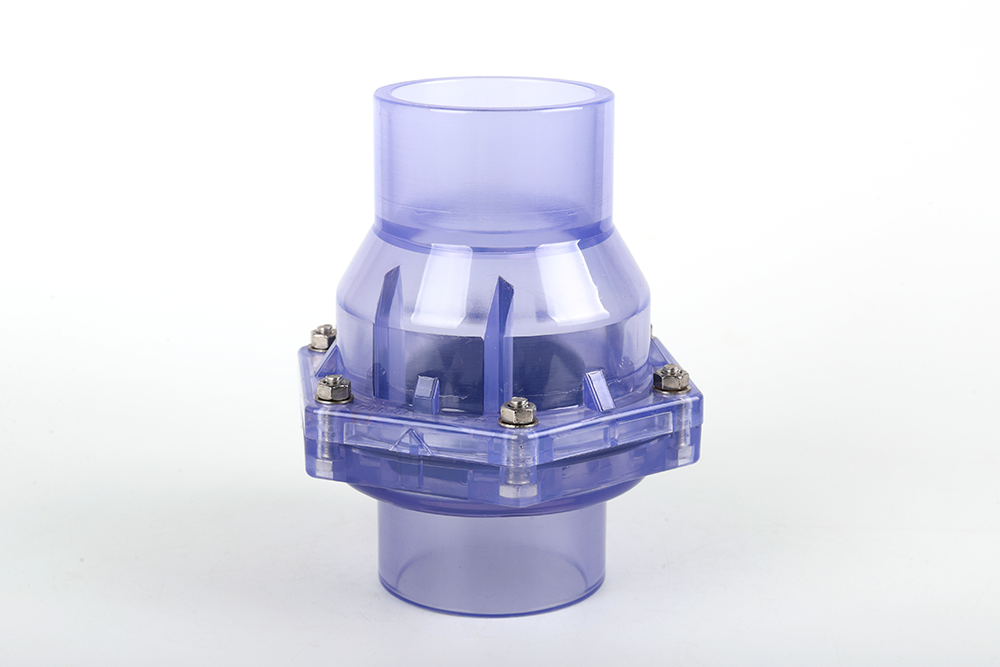 丹阳透明翻板式止回阀